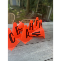 Bakletters dressuur pion 